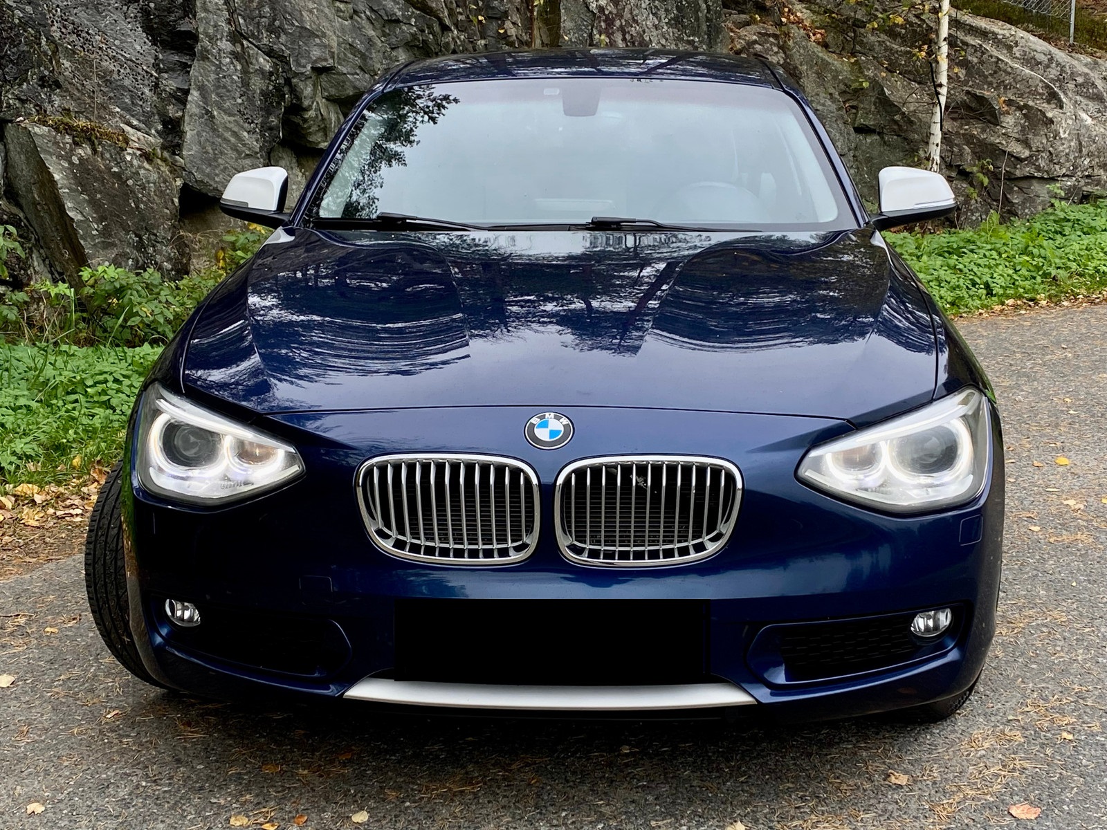  SERIE 1 F20 2.0 116D 5 PORTES